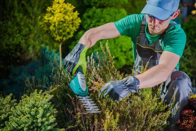 landscaping services Niles